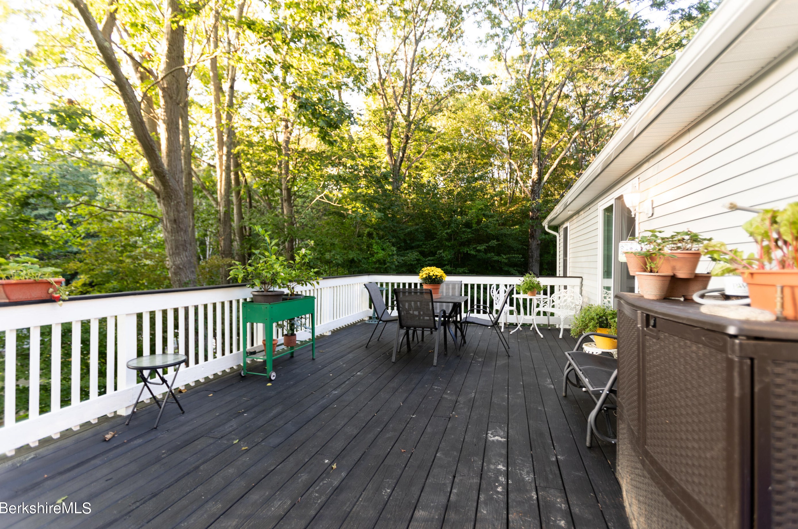 155 Scammell Ave, Pittsfield MA  01201-3435 exterior