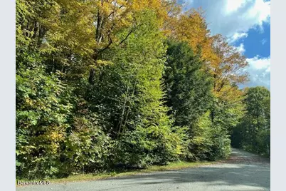 40 Bliven Rd, Otis, MA 01253 - Photo 2