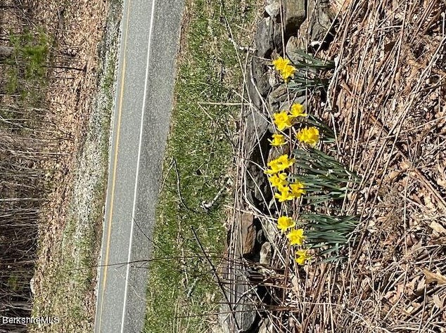 1154 E Otis Rd, Otis, MA 01253