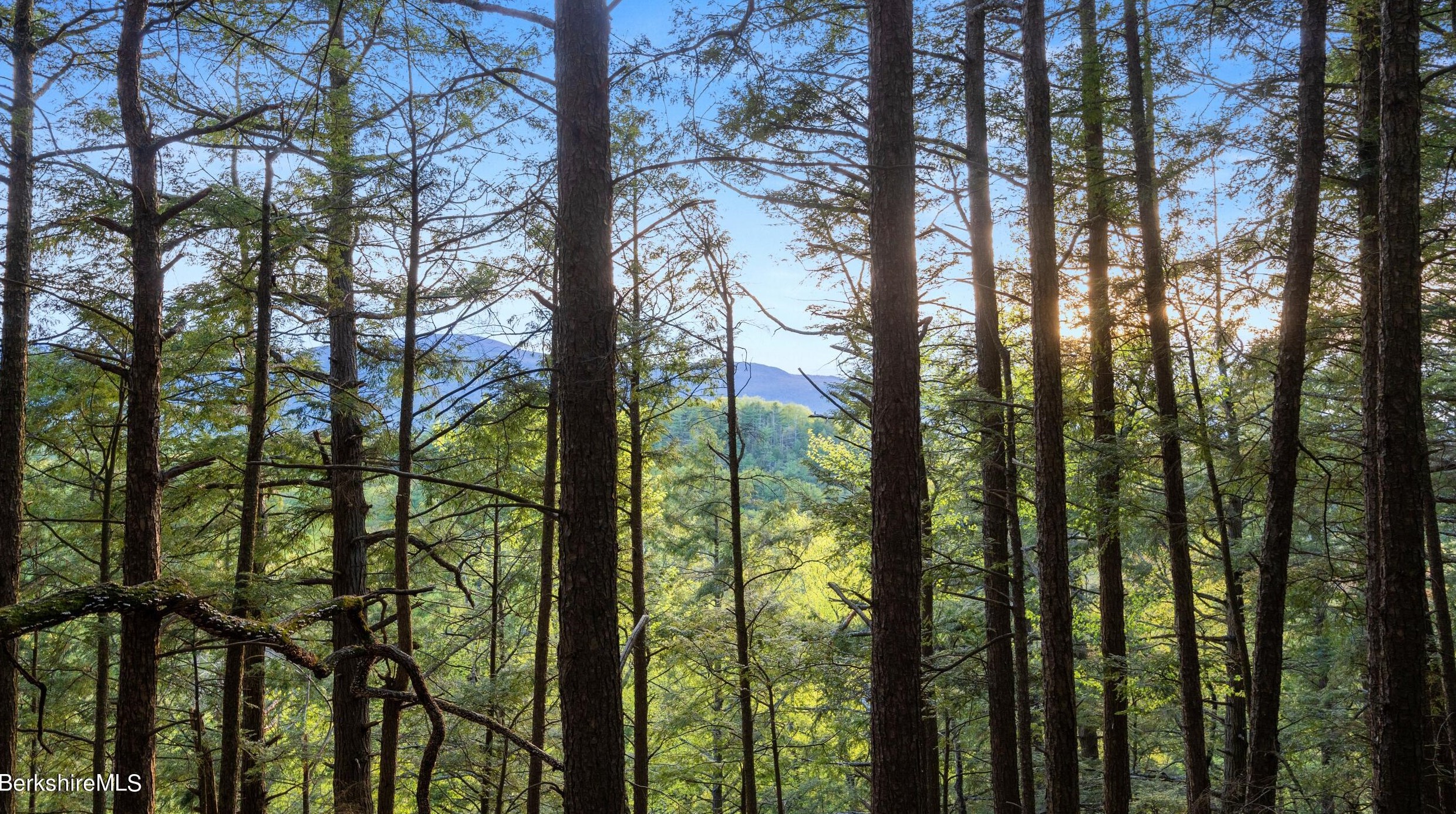 49 Bow Wow Rd, Sheffield MA 01257-9609 exterior