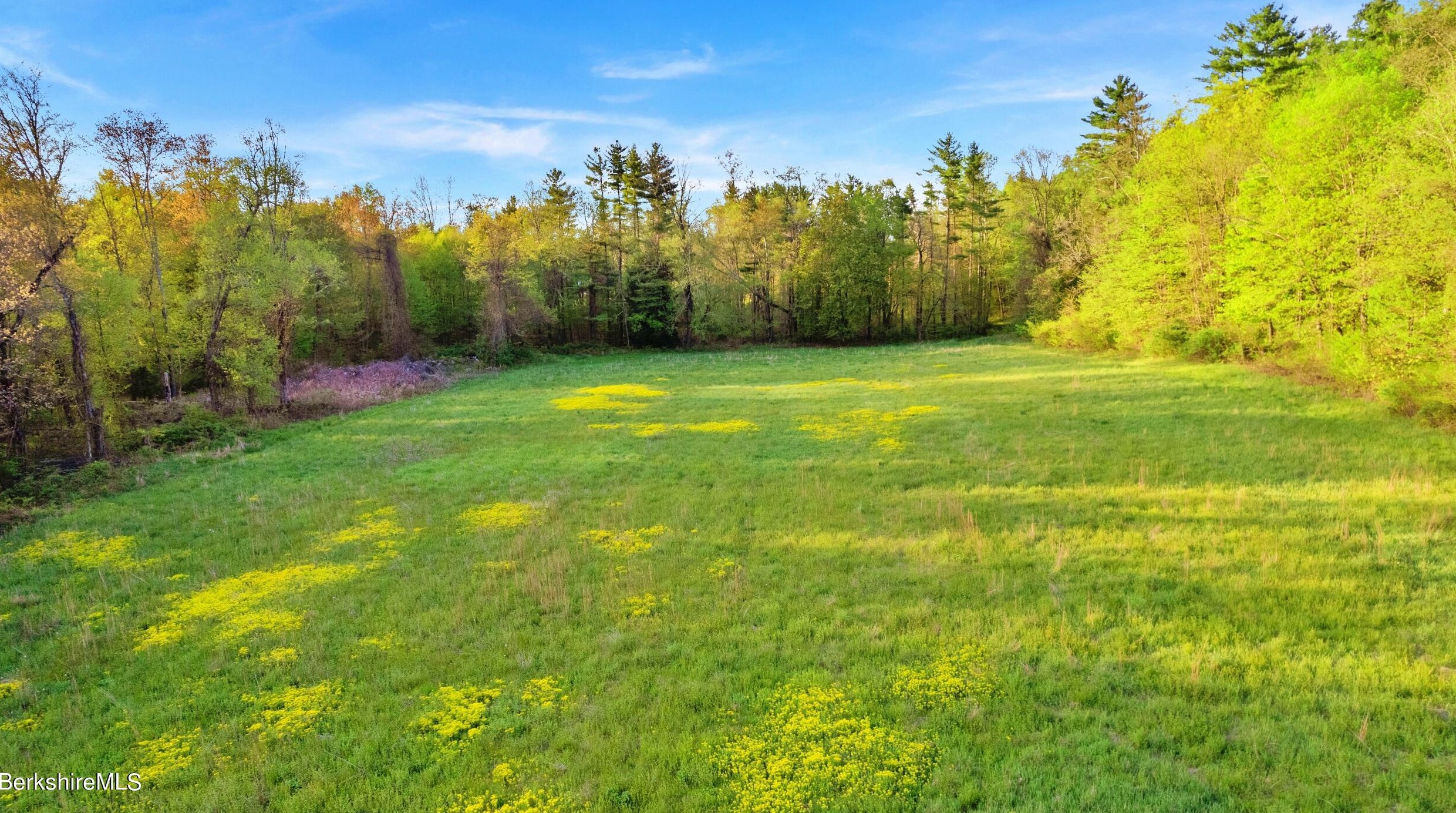 49 Bow Wow Rd, Sheffield MA 01257-9609 exterior