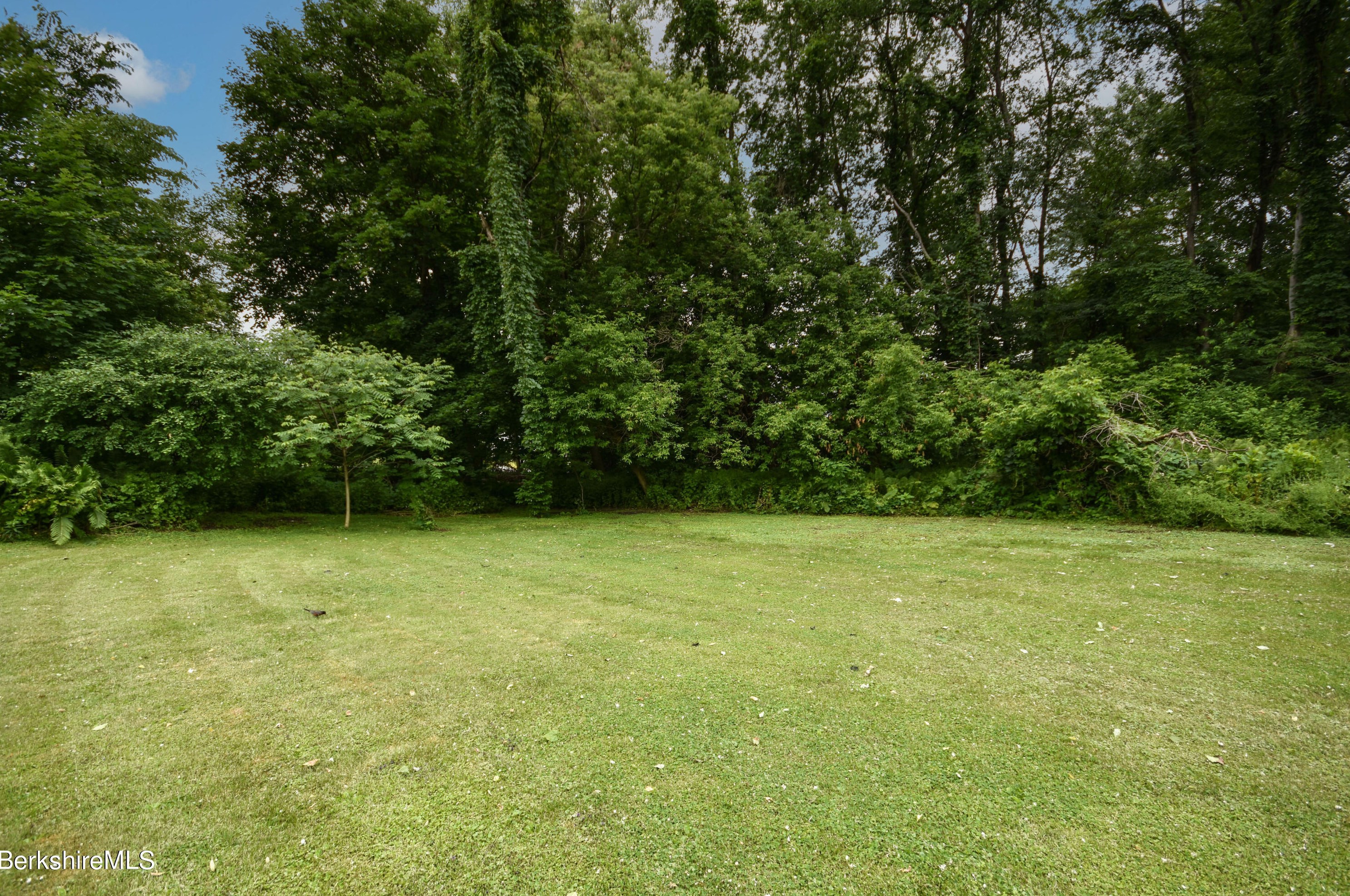 39 Goodrich St, Clarksburg MA 01247-3327 exterior