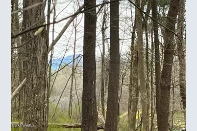 162 Alford Rd, Great Barrington, MA 01230 - Photo 1