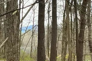 162 Alford Rd, Great Barrington, MA 01230 - Photo 1