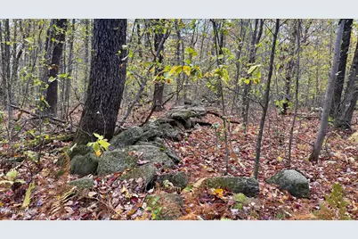 0 Stoney Brook Rd, Becket, MA 01223 - Photo 4