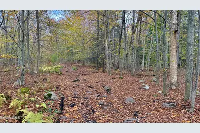 0 Stoney Brook Rd, Becket, MA 01223 - Photo 10