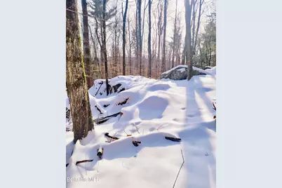 Lot 2B Leland Rd, Becket, MA 01223 - Photo 12