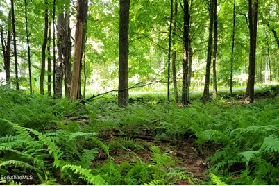 Lot 2 Leland Rd, Becket, MA 01223 - Photo 4