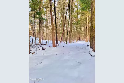 Lot 2 Leland Rd, Becket, MA 01223 - Photo 12