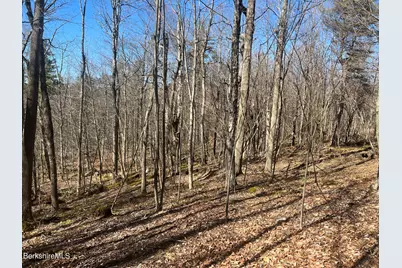 0 Goose Pond Rd, Tyringham, MA 01264 - Photo 2