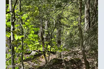 289 Antelope Dr, Lee, MA 01238 - Photo 8