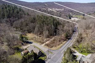 3 Lake Buel Rd, Great Barrington, MA 01230 - Photo 54