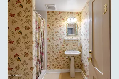 3 Lake Buel Rd, Great Barrington, MA 01230 - Photo 46