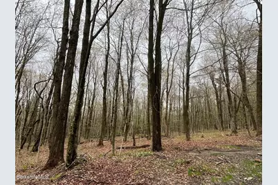 0 Manley Phelps Rd, Monroe, MA 01350 - Photo 6