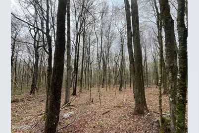 0 Manley Phelps Rd, Monroe, MA 01350 - Photo 4