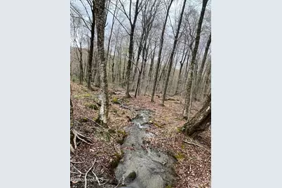 0 Manley Phelps Rd, Monroe, MA 01350 - Photo 12