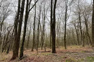 0 Manley Phelps Rd, Monroe, MA 01350 - Photo 1