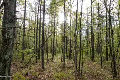 0 Amory Ln, New Marlboro, MA 01259 - Photo 1