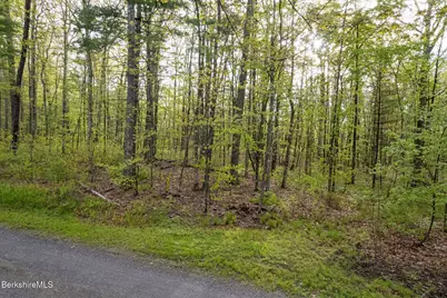 0 Amory Ln, New Marlboro, MA 01259 - Photo 4