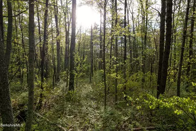 0 Amory Ln, New Marlboro, MA 01259 - Photo 2