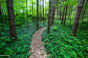 31 Oxbow Rd, Charlemont, MA 01339 - Photo 34