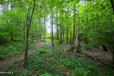 31 Oxbow Rd, Charlemont, MA 01339 - Photo 32