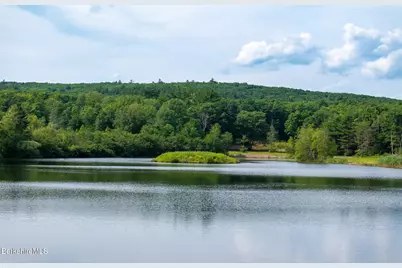 105 Norton Rd, Canaan, NY 12029 - Photo 10