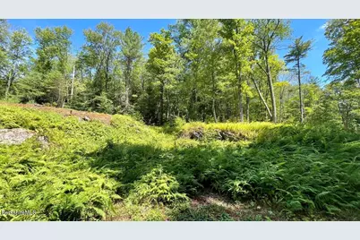 181 W Center Rd, West Stockbridge, MA 01266 - Photo 4