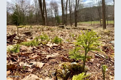 181 W Center Rd, West Stockbridge, MA 01266 - Photo 12