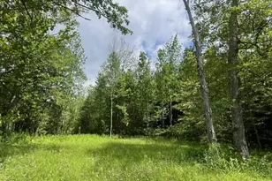 477 Mohawk Trail, Florida, MA 01343 - Photo 8