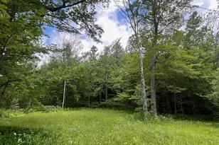 477 Mohawk Trail, Florida, MA 01343 - Photo 4