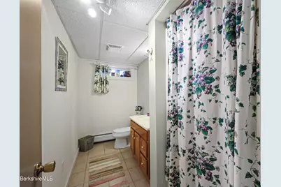 4 Birch Hill Rd, Peru, MA 01235 - Photo 46