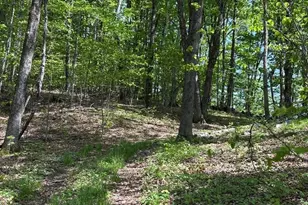 66 Reils Ln, Colrain, MA 01340 - Photo 22