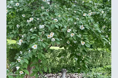 5 Glendale Rd, Stockbridge, MA 01262 - Photo 46