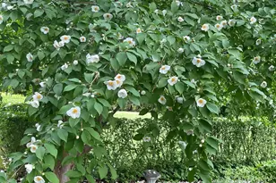 5 Glendale Rd, Stockbridge, MA 01262 - Photo 46