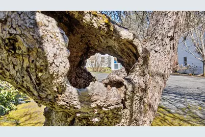 5 Glendale Rd, Stockbridge, MA 01262 - Photo 32