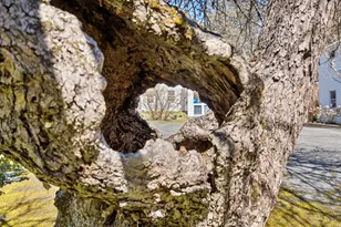 5 Glendale Rd, Stockbridge, MA 01262 - Photo 32