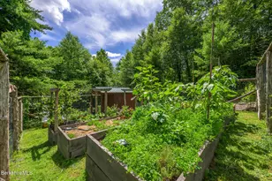 50 Old Village Rd, Alford, MA 01230 - Photo 58