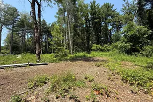 14 McGee Rd, Egremont, MA 01258 - Photo 1