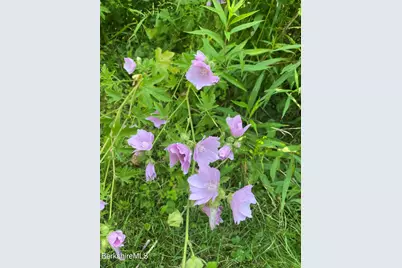 14 Blotz Rd, Washington, MA 01223 - Photo 12