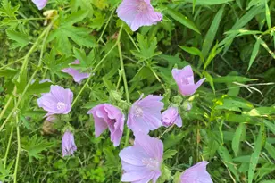 14 Blotz Rd, Washington, MA 01223 - Photo 12