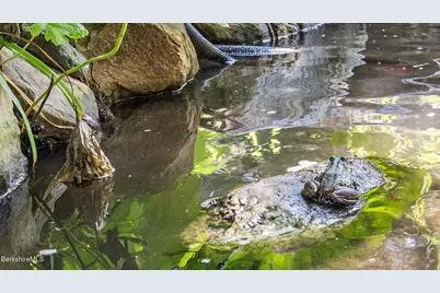 2 Lake Ave, Great Barrington, MA 01230 - Photo 28