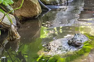 2 Lake Ave, Great Barrington, MA 01230 - Photo 28