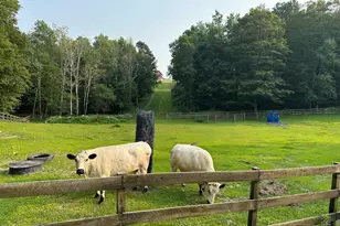 241 Cunningham Hill Rd, Canaan, NY 12029 - Photo 60