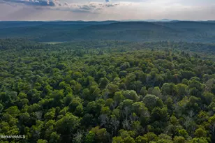 19 Roberts Rd, Sandisfield, MA 01255 - Photo 10