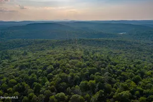 19 Roberts Rd, Sandisfield, MA 01255 - Photo 2