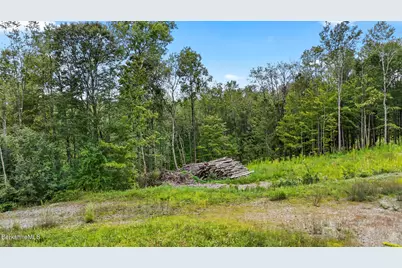 0 Miner Rd, Lanesborough, MA 01237 - Photo 6
