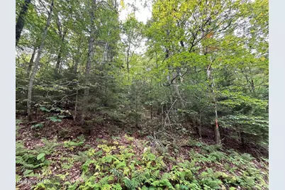 0 Manley Phelps Rd, Monroe, MA 01350 - Photo 2