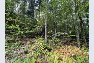 0 Manley Phelps Rd, Monroe, MA 01350 - Photo 14