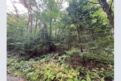 0 Manley Phelps Rd, Monroe, MA 01350 - Photo 12